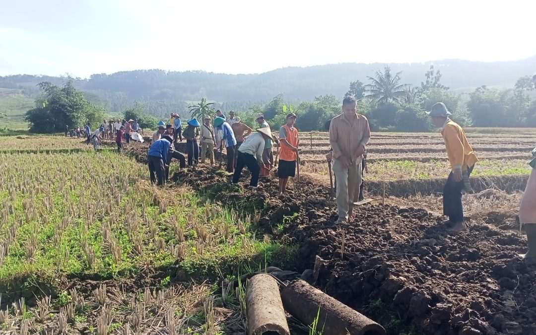 Warga Desa Wringinharjo Kecamatan Gandrungmangu dan Warga Desa Karanggedang Kecamatan Sidareja Melaksanakan Kerja Bakti Bersama